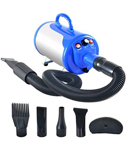 Best Hair Dryer for Dogs